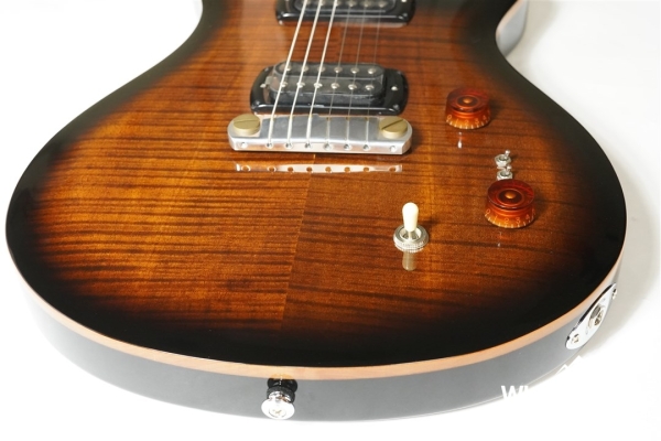 SE Paul’s Guitar - Black Gold Burst